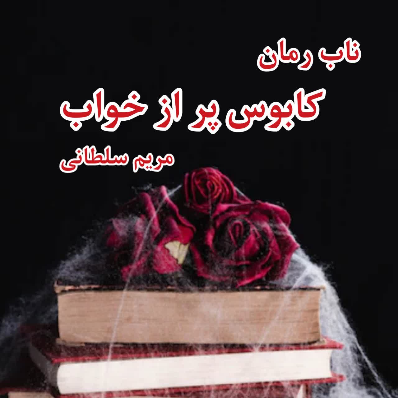 دانلود رمان کابوس پر از خواب pdf از مریم سلطانی
