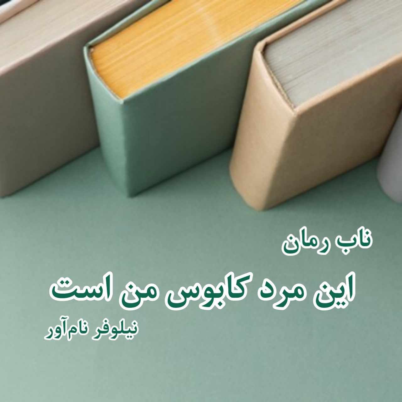 دانلود رمان این مرد کابوس من است pdf از نیلوفر نام آور