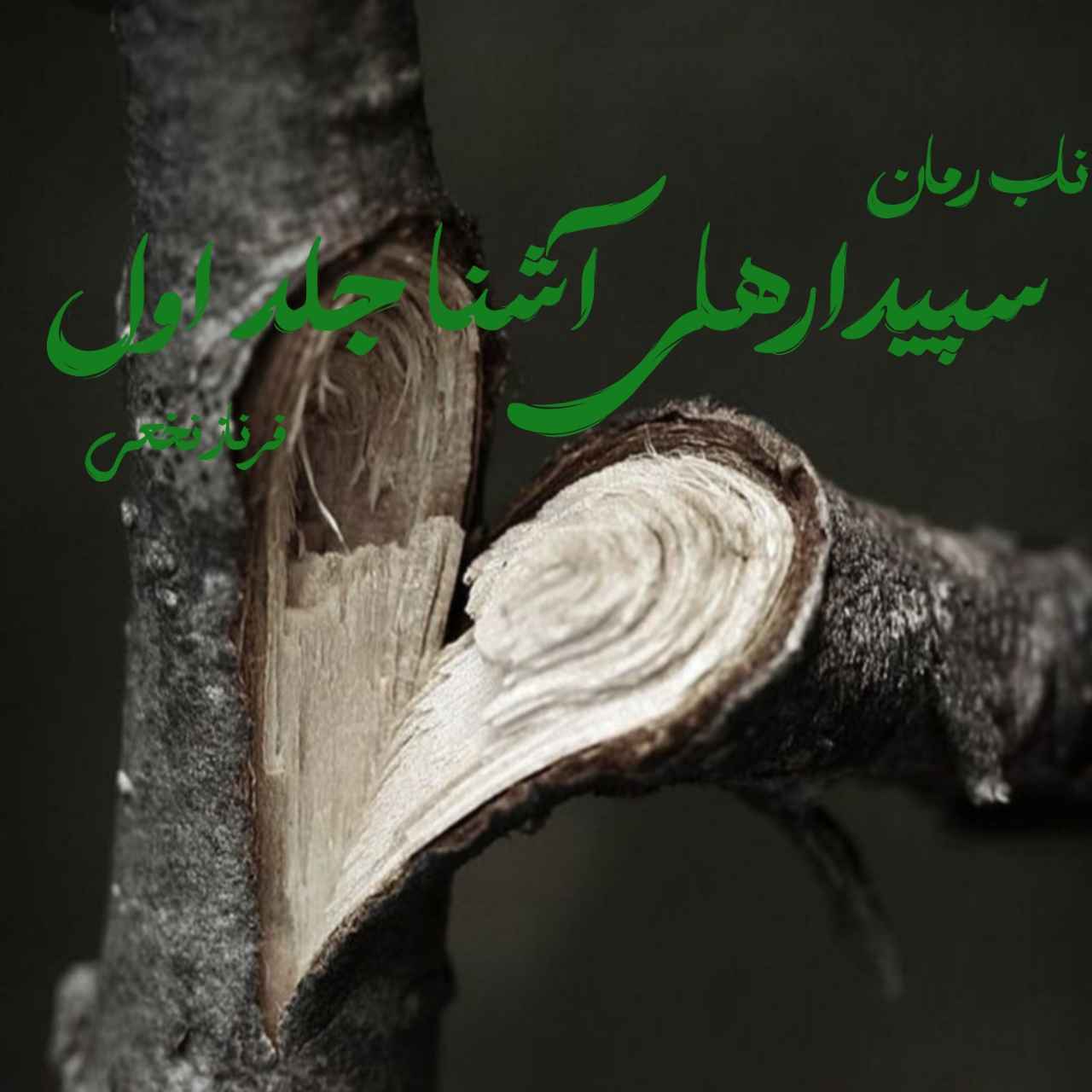 دانلود رمان سپیدارهای آشنا جلد اول pdf از فرناز نخعی