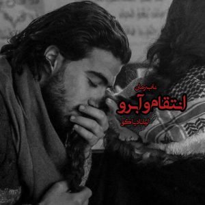 دانلود رمان انتقام و آبرو (جلد اول) pdf از لیانا دیاکو