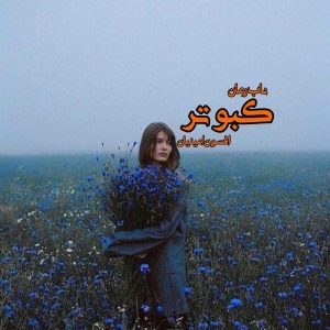 دانلود رمان کبوتر pdf افسون امینیان