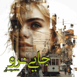 دانلود رمان جایی نرو pdf از معصومه آبی