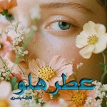 دانلود رمان عطر هلو pdf از فاطمه باصری