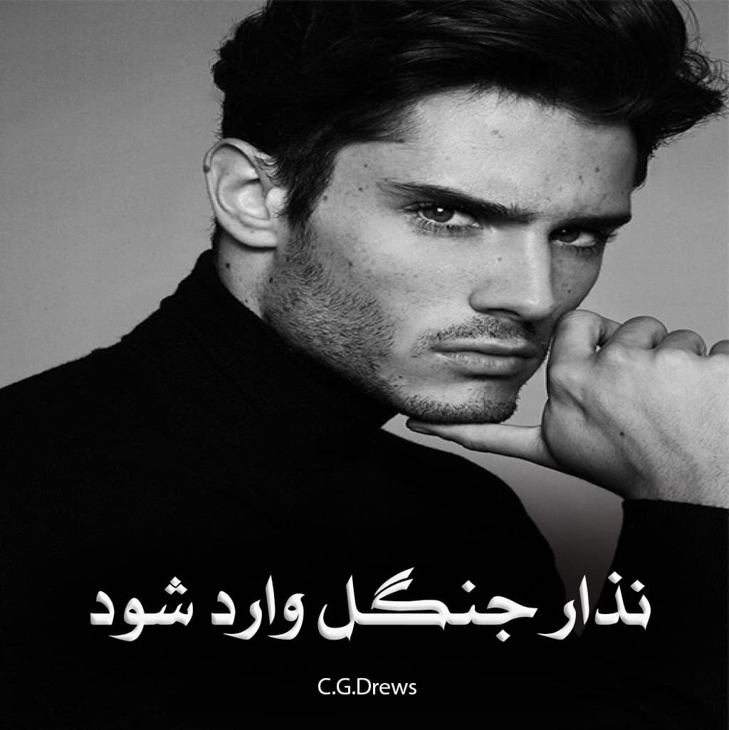 دانلود رمان نذار جنگل وارد شود